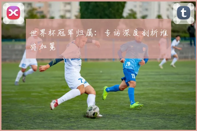 世界杯冠军归属：专访深度剖析谁将加冕
