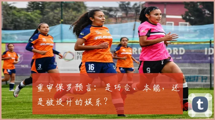 重审保罗预言：是巧合、本能，还是被设计的娱乐？
