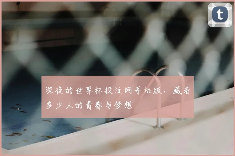 深夜的世界杯投注网手机版，藏着多少人的青春与梦想
