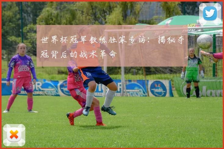 世界杯冠军教练独家专访：揭秘夺冠背后的战术革命