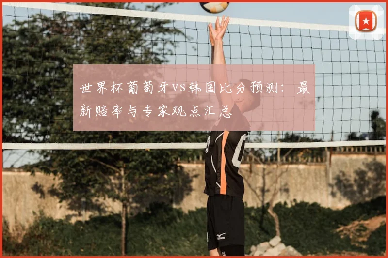 世界杯葡萄牙vs韩国比分预测：最新赔率与专家观点汇总